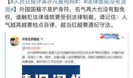 媒体爆料尘埃落定视频,媒体爆料视频真相大白